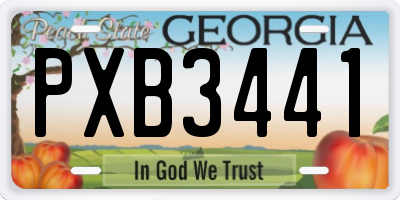 GA license plate PXB3441