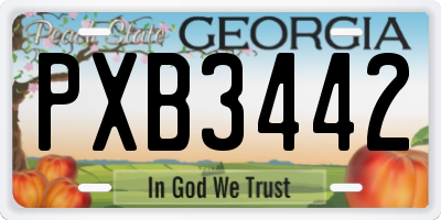 GA license plate PXB3442