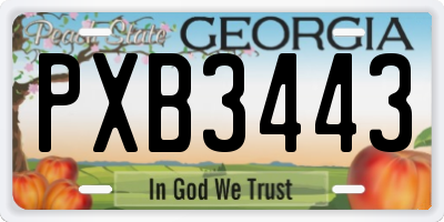 GA license plate PXB3443