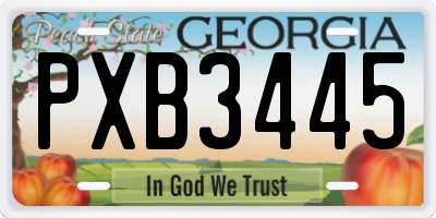 GA license plate PXB3445