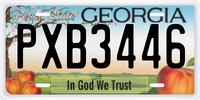 GA license plate PXB3446