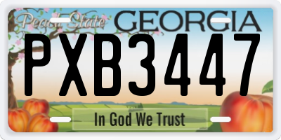 GA license plate PXB3447