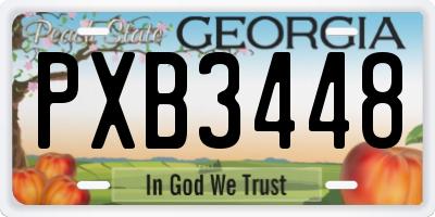 GA license plate PXB3448