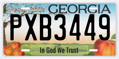 GA license plate PXB3449