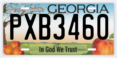 GA license plate PXB3460