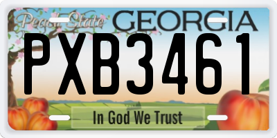 GA license plate PXB3461