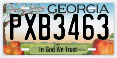 GA license plate PXB3463