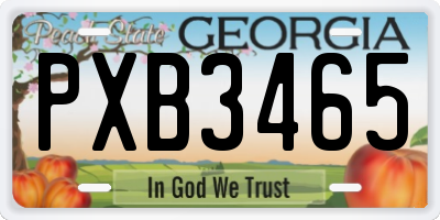 GA license plate PXB3465
