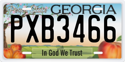 GA license plate PXB3466