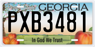 GA license plate PXB3481