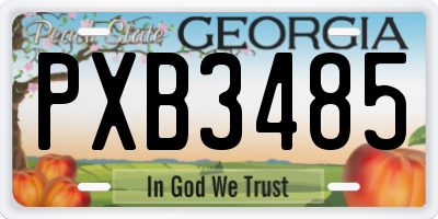 GA license plate PXB3485