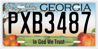 GA license plate PXB3487