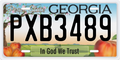 GA license plate PXB3489