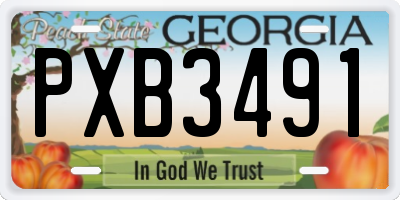 GA license plate PXB3491