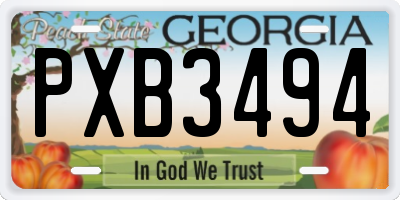 GA license plate PXB3494