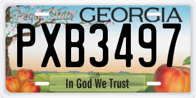 GA license plate PXB3497