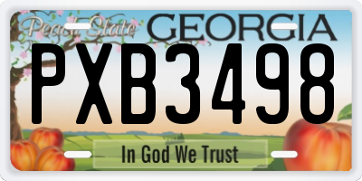 GA license plate PXB3498