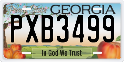GA license plate PXB3499