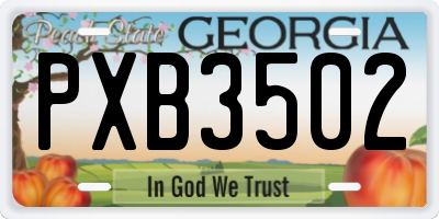 GA license plate PXB3502