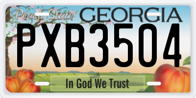 GA license plate PXB3504