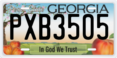 GA license plate PXB3505