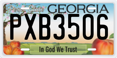 GA license plate PXB3506