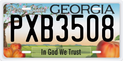 GA license plate PXB3508