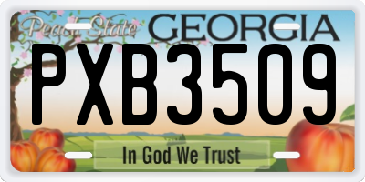 GA license plate PXB3509