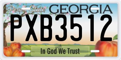 GA license plate PXB3512