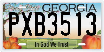 GA license plate PXB3513