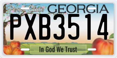 GA license plate PXB3514