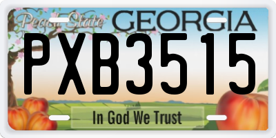 GA license plate PXB3515