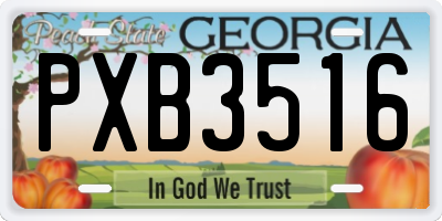 GA license plate PXB3516