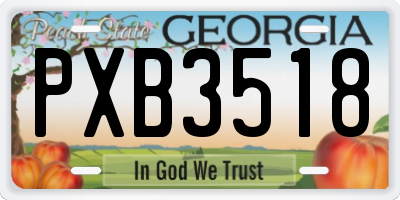 GA license plate PXB3518