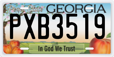 GA license plate PXB3519