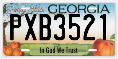 GA license plate PXB3521