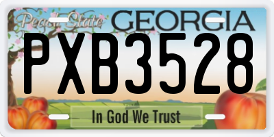 GA license plate PXB3528