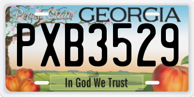 GA license plate PXB3529