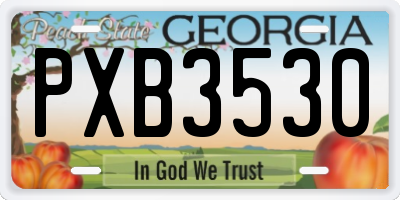 GA license plate PXB3530
