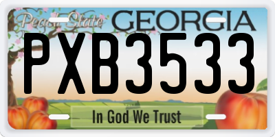 GA license plate PXB3533