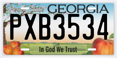 GA license plate PXB3534
