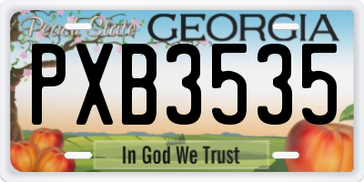 GA license plate PXB3535