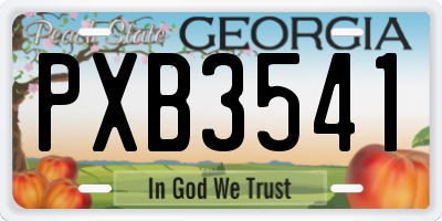 GA license plate PXB3541