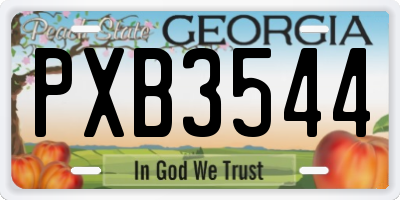 GA license plate PXB3544