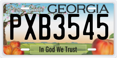 GA license plate PXB3545