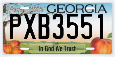 GA license plate PXB3551