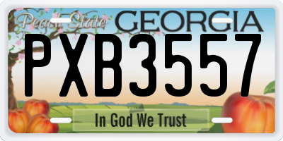 GA license plate PXB3557