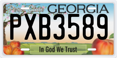 GA license plate PXB3589