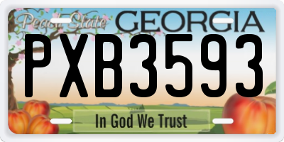 GA license plate PXB3593