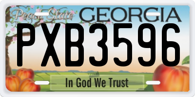 GA license plate PXB3596